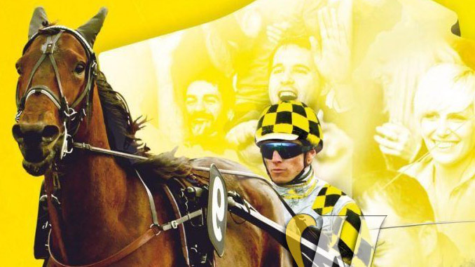 turf : trot turf : trot